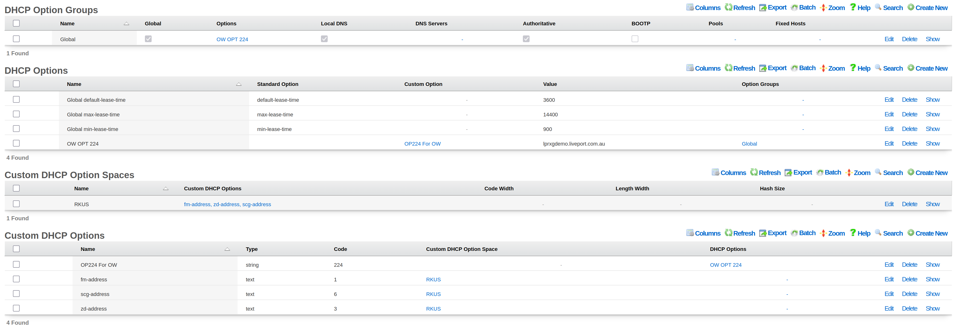 DHCP Option 224 Configuration