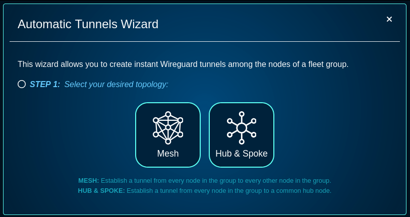 Wizard, step 1