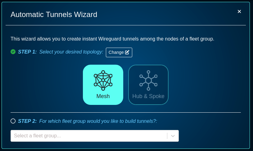 Wizard, step 2